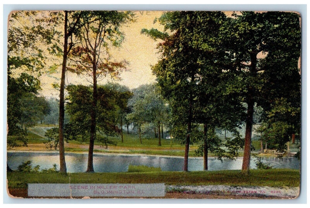 1907 Scene in Miller Park Bloomington Illinois IL Antique Posted Postcard
