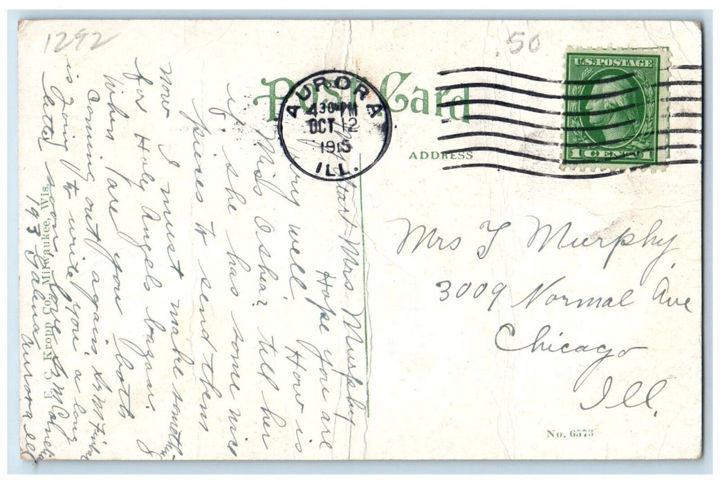 1915 Crowd Scene at Fox River Park Aurora Illinois IL Antique Posted Postcard