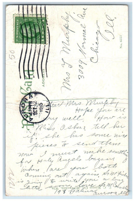 1915 Crowd Scene at Fox River Park Aurora Illinois IL Antique Posted Postcard