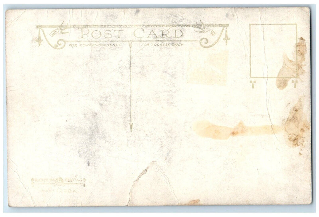 c1910 Twin Sisters Rock View Savanna Illinois IL Unposted Antique Postcard