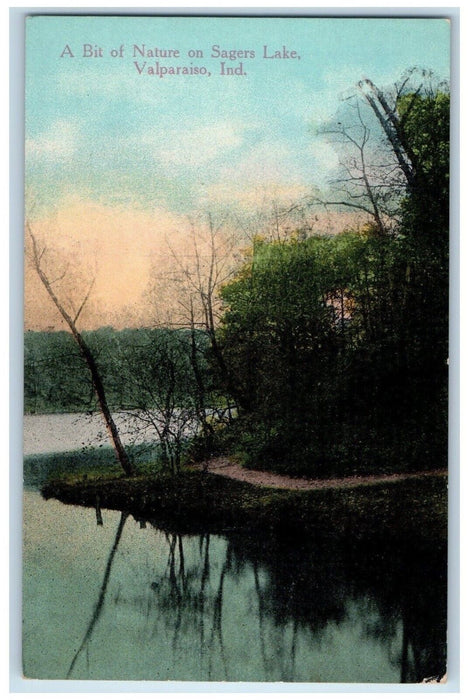 1910 Bit Nature Sagers Lake Valparaiso Indiana Vintage Antique Unposted Postcard