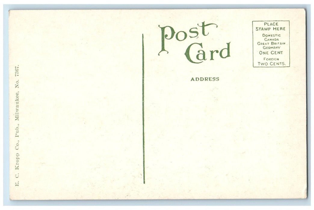1910 Bit Nature Sagers Lake Valparaiso Indiana Vintage Antique Unposted Postcard