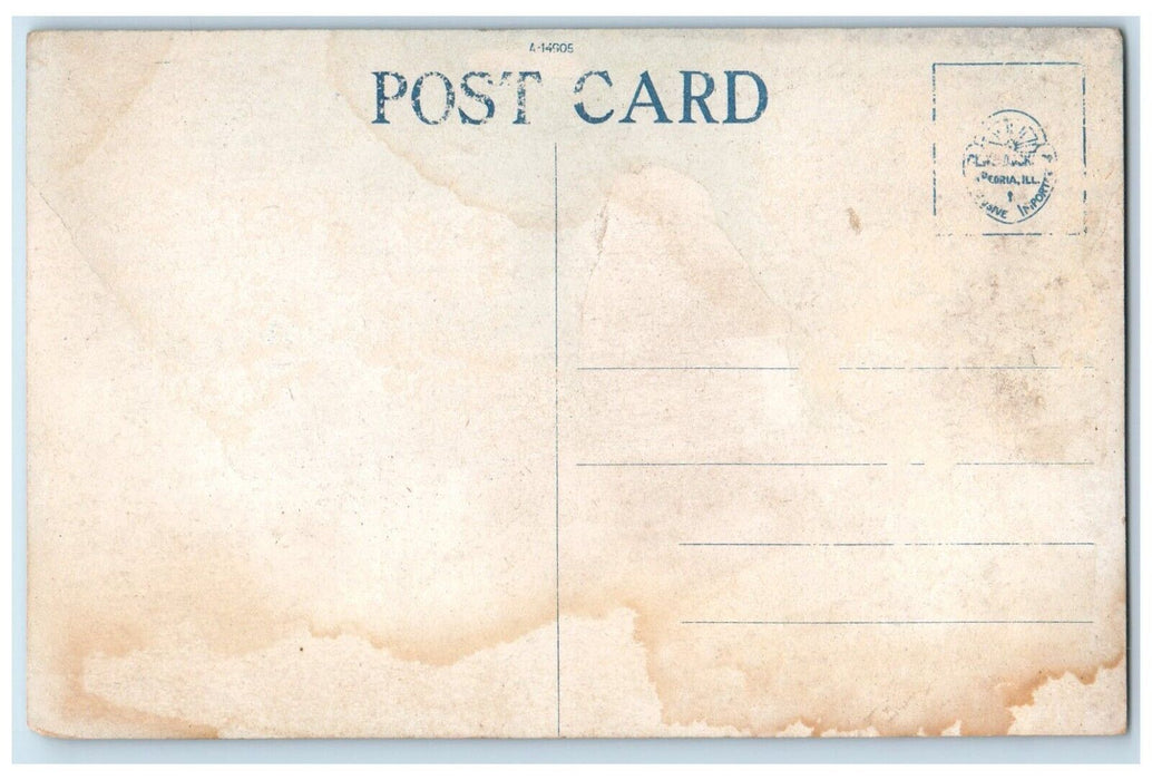 c1910 Shady Beach Boat Landing Canoe Port Fishing Dock Peoria Illinois Postcard