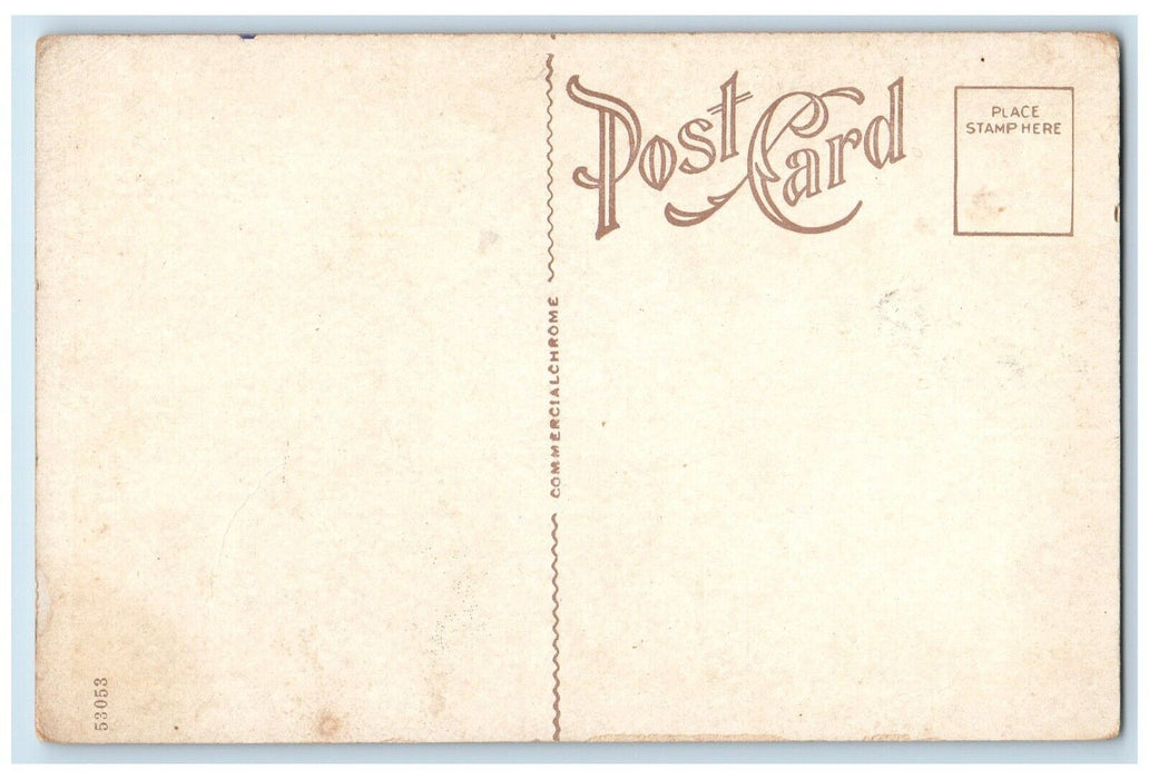 1920 College Hall Presidents Home Union Christian College Merom Indiana Postcard