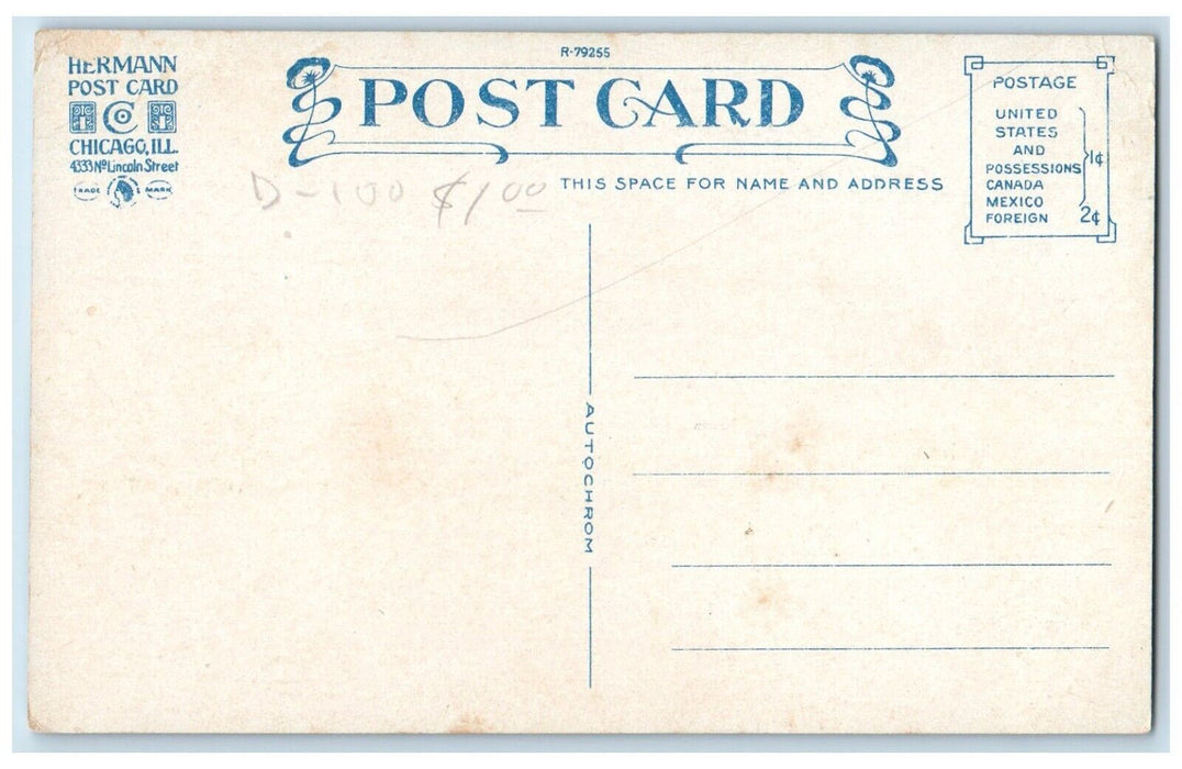 c1910 Crescent College Girls Exterior Eureka Springs Arkansas Hermann Postcard