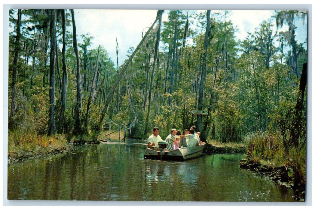 c1950's Okefenokee Swamp Visitors Enjoy Boat Tours Waycross Georgia GA Postcard