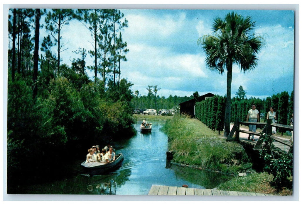 c1950's Okefenokee Swamp Scenic Walk Water Trails Waycross Georgia GA Postcard