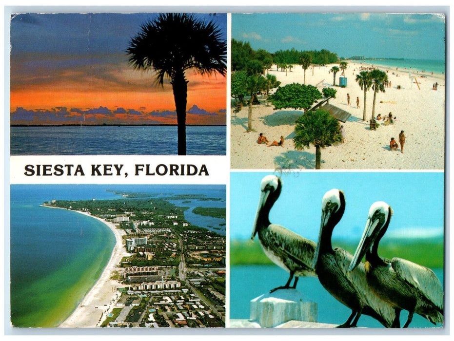 1986 Bird Beach Sea Aerial View Siesta Key Florida FL Multiview Postcard