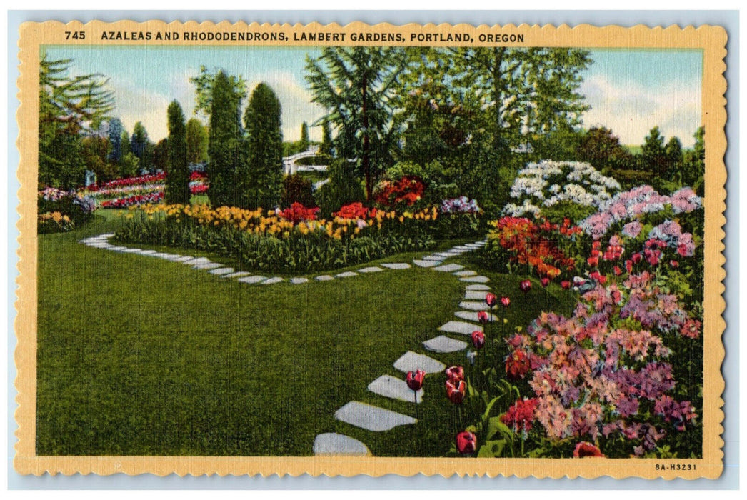 c1940's Azaleas and Rhododendrons Lambert Gardens Portland Oregon OR Postcard