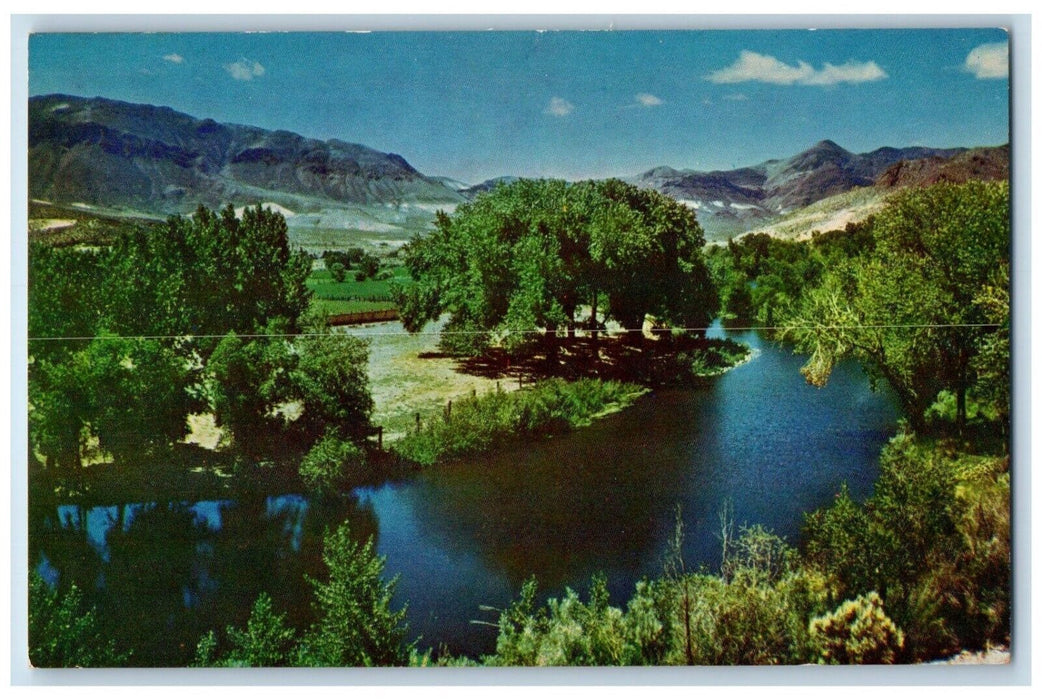 c1960 Aerial View Truckee River Near Reno Nevada Vintage Natural Color Postcard