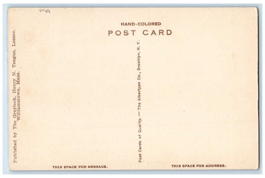 c1940 Mohawk Trail Old Tunnel Road Williamstown Massachusetts Vintage Postcard