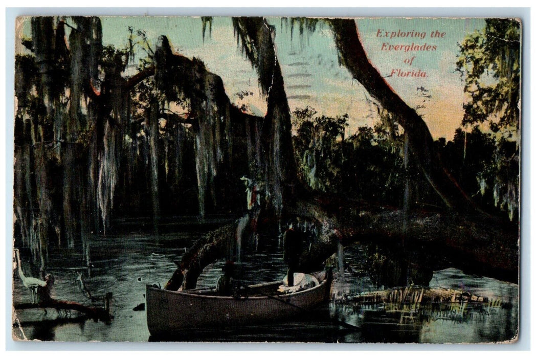 1912 Canoe Boat Tree Brances Exploring Everglades Florida FL Souvenir Postcard