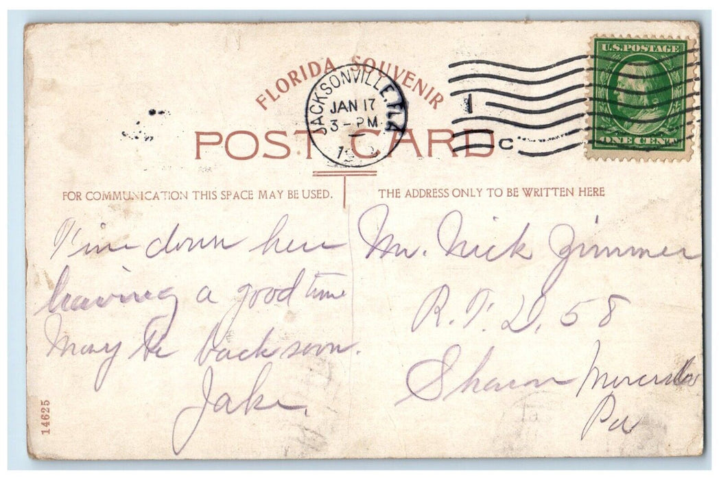 1912 Canoe Boat Tree Brances Exploring Everglades Florida FL Souvenir Postcard