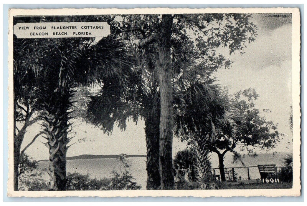 1940 View From Slaughter Cottages Pine Trees Bench Beacon Beach Florida Postcard