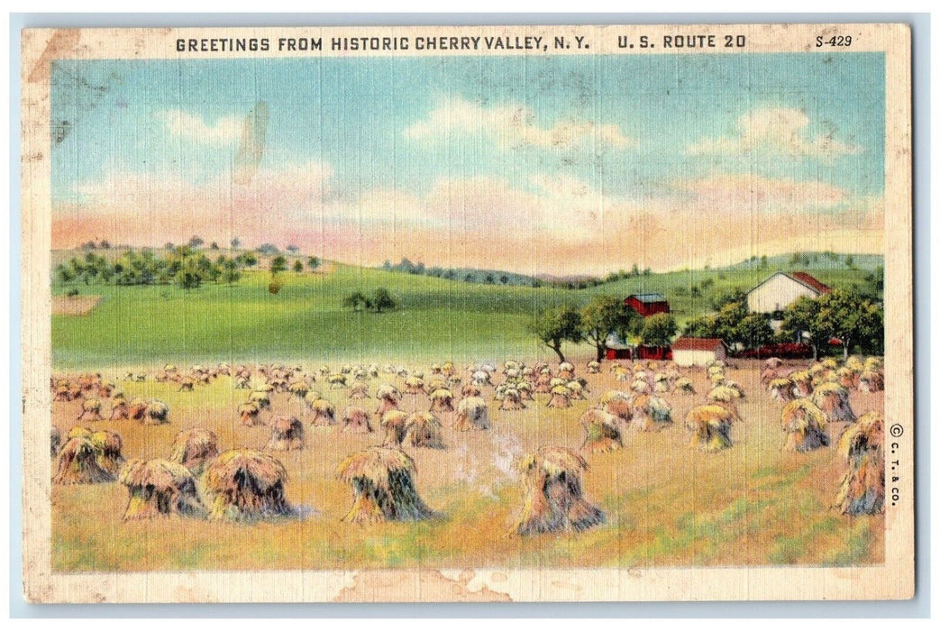 c1930's Greetings From Historic Cherry Valley New York NY, Farm Field Postcard