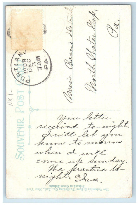 1909 At Fort Hughes Park Bainbridge Georgia GA, Portland PA Antique Postcard