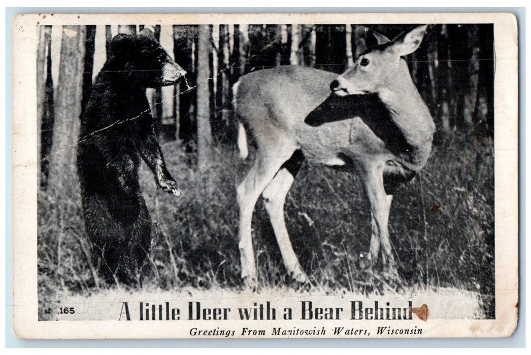 Greetings From Manitowish Waters WI, A Little Deer With A Bear Behind Postcard