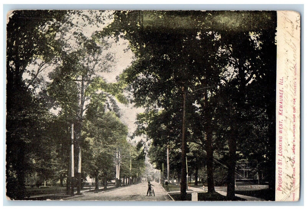 1907 Prospect St. Looking West Street Road Kewaunee Illinois IL Vintage Postcard
