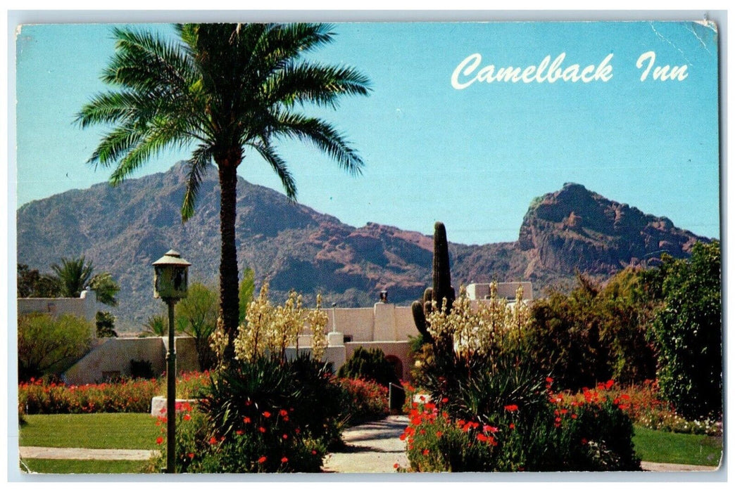 c1960's Camelback Inn Mountain Flowery Grounds Near Phoenix Arizona AZ Postcard