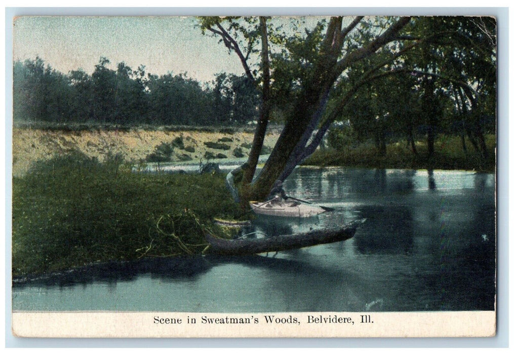 1909 Scene Sweatman's Woods Canoe Boat Lake Belvidere Illinois Vintage Postcard