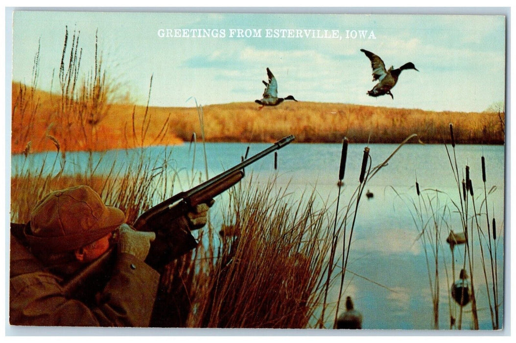 Greetings From Esterville Iowa IA, Duck Hunting Mallard In The Sight Postcard