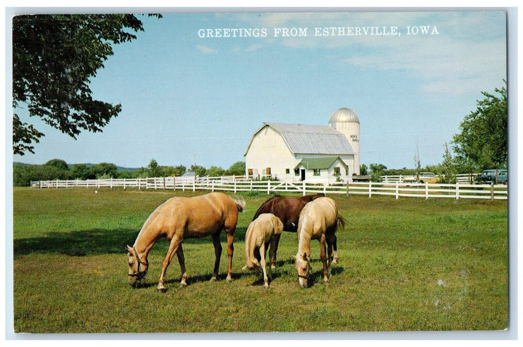 Greetings From Estherville Iowa IA, Palomino Mare And Colts Farm Postcard