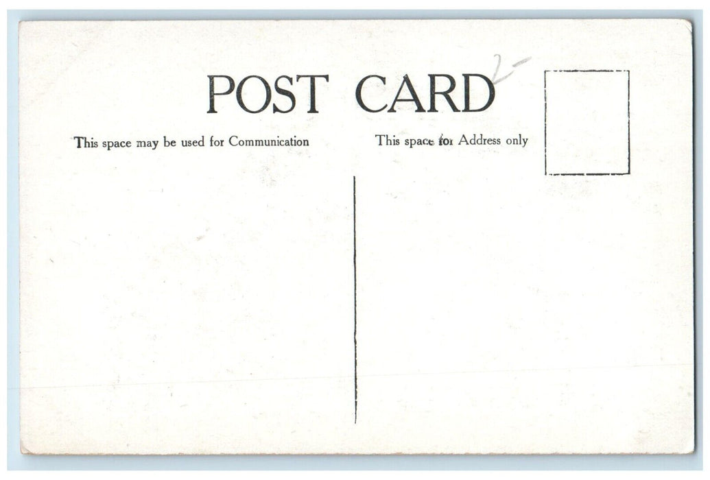 c1910 Public Library Exterior Building Street Road Chicago Illinois IL Postcard