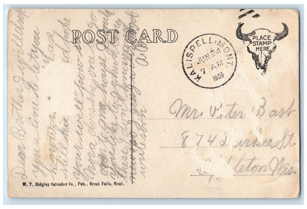 1909 Springs Awakening Deer In Winter Kalispell Montana MT Antique Postcard