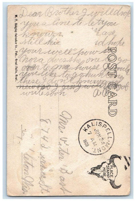 1909 Springs Awakening Deer In Winter Kalispell Montana MT Antique Postcard
