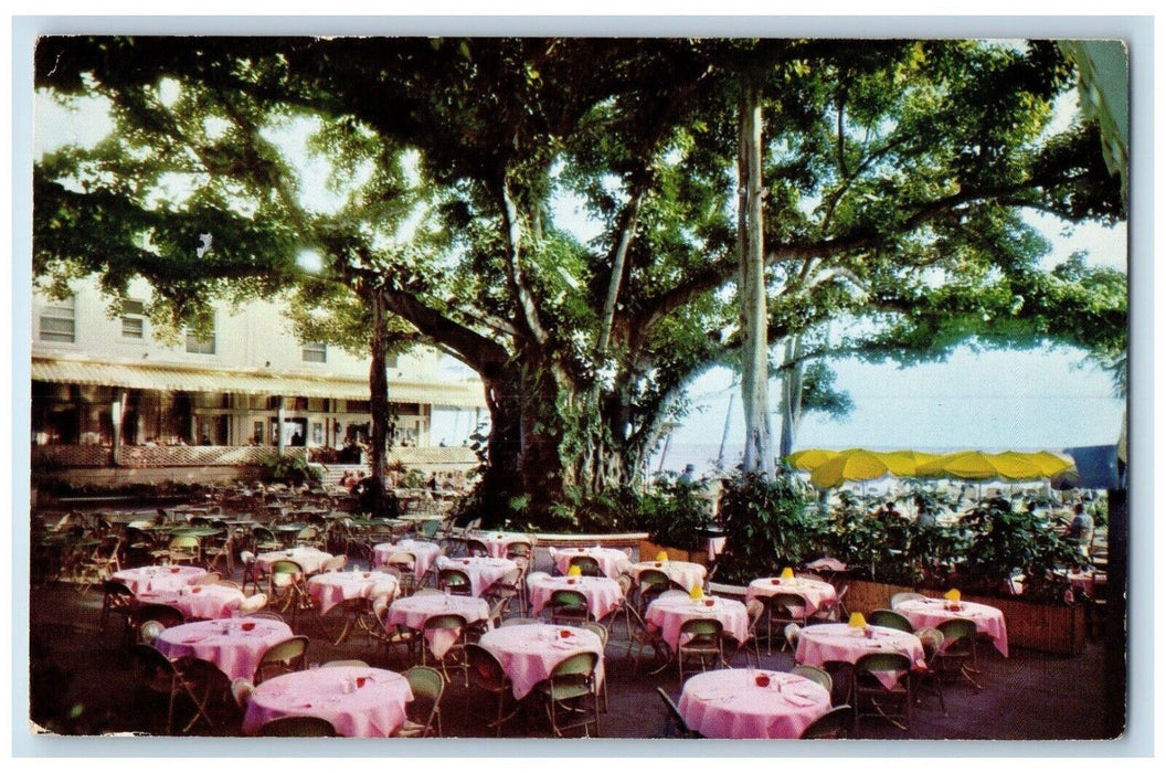 1967 Moana Hotel's Banyan Court Lanai Honolulu Hawaii HI Posted Vintage Postcard