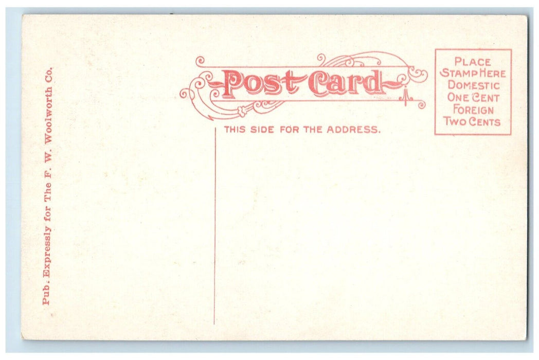 c1910's View Of City Park Greeley Colorado CO Unposted Antique Postcard