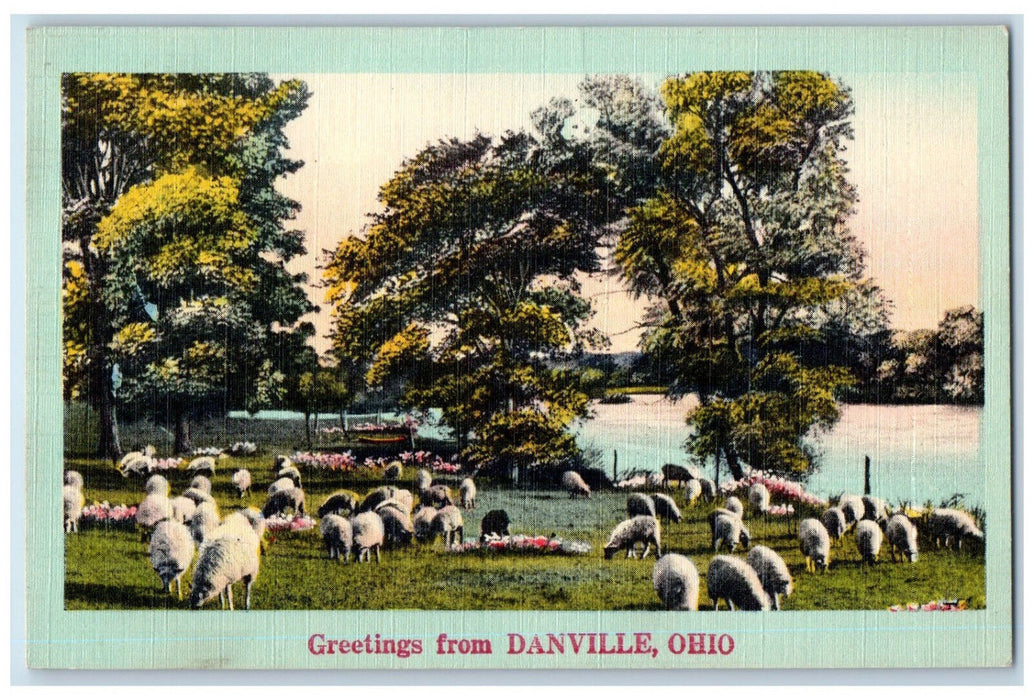 1951 Sheep River Scene Greetings from Danville Ohio OH Posted Vintage Postcard