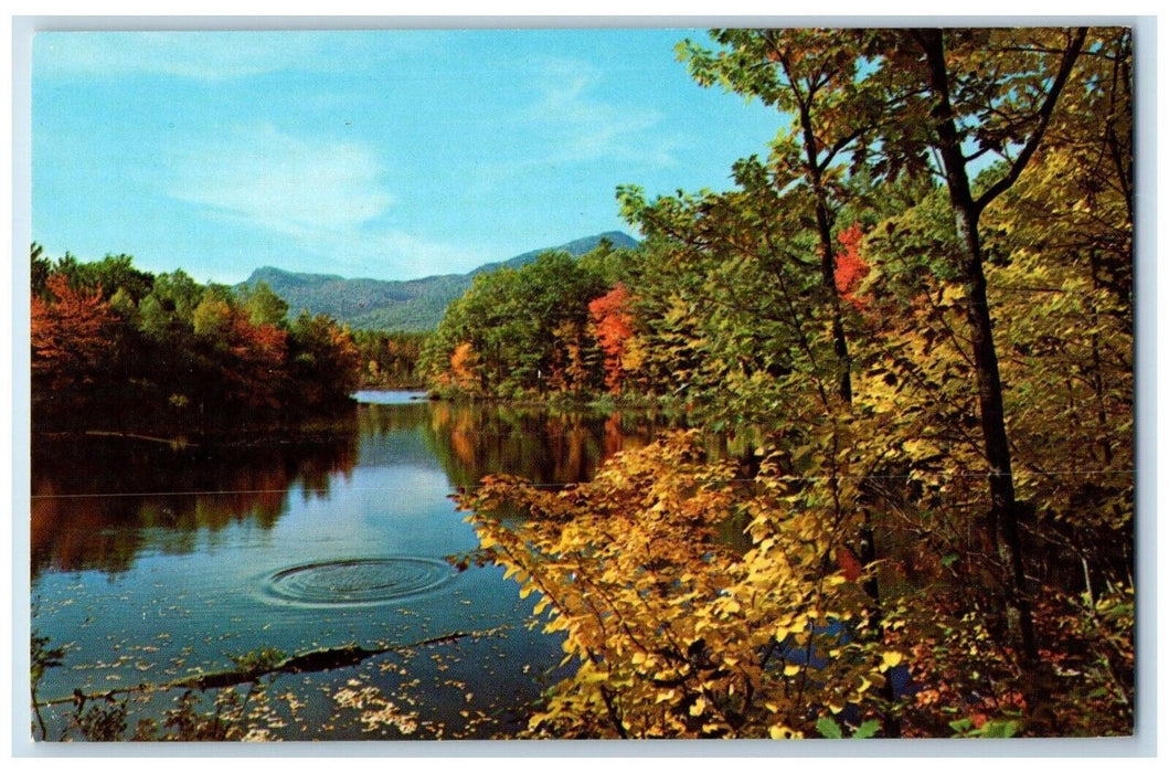 c1960's View Of Red Eagle Pond Conway New Hampshire NH Unposted Vintage Postcard