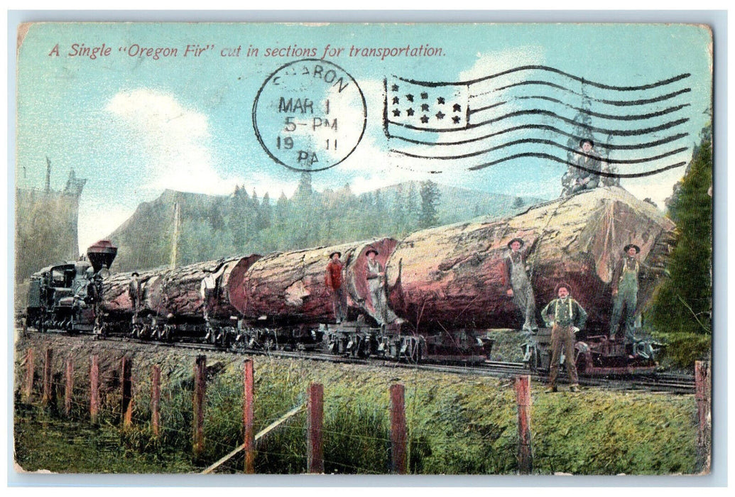 1910 A Single Oregon Fir Cut In Sections for Transportation Sharon PA Postcard