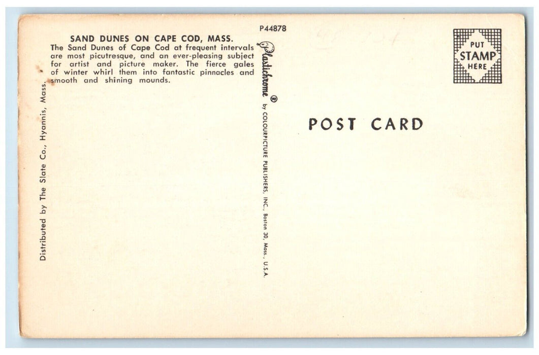 c1950's View Of Sand Dunes On Cape Cod Massachusetts MA Vintage Postcard