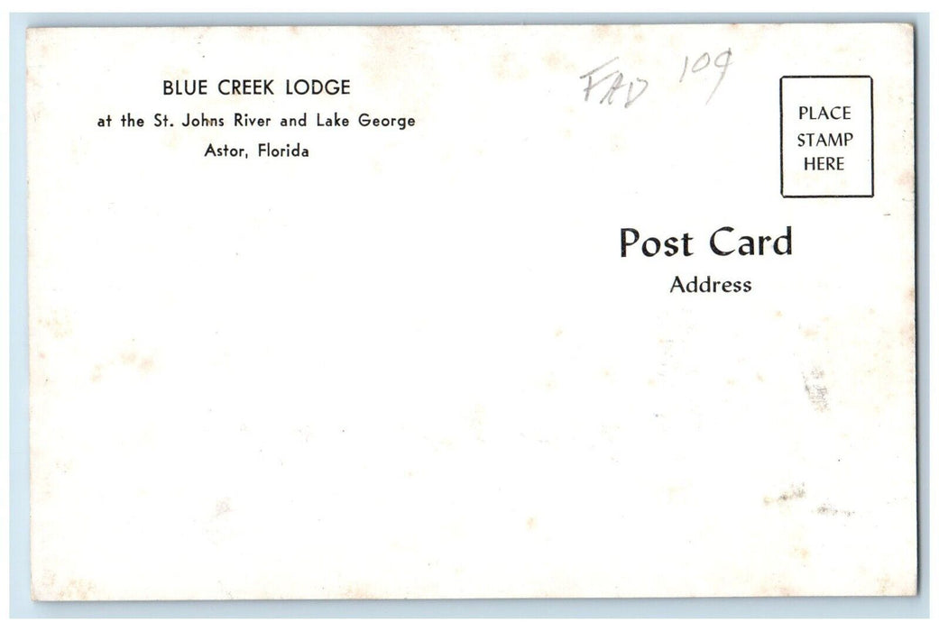 Blue Creek Lodge At St. Johns River And Lake George Astor Florida FL Postcard