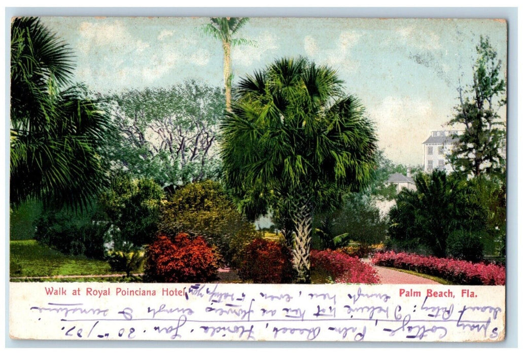 1907 Walk At Royal Poinciana Hotel Palm Beach Florida FL Posted Antique Postcard