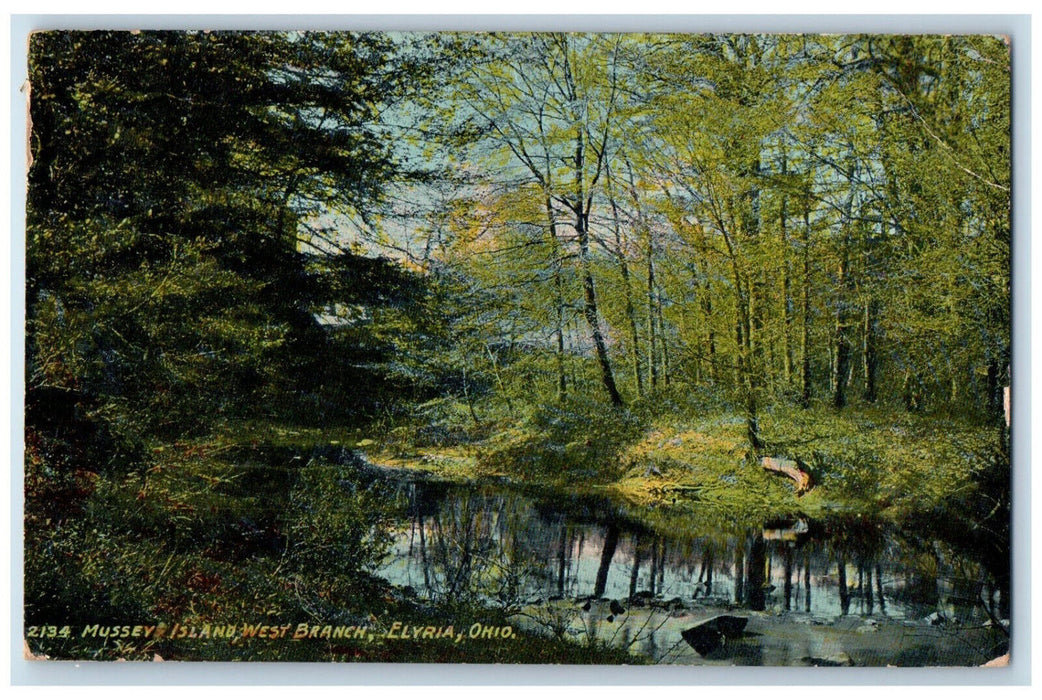 1910 Mussey Island West Branch Elyria Ohio OH Antique Posted Postcard