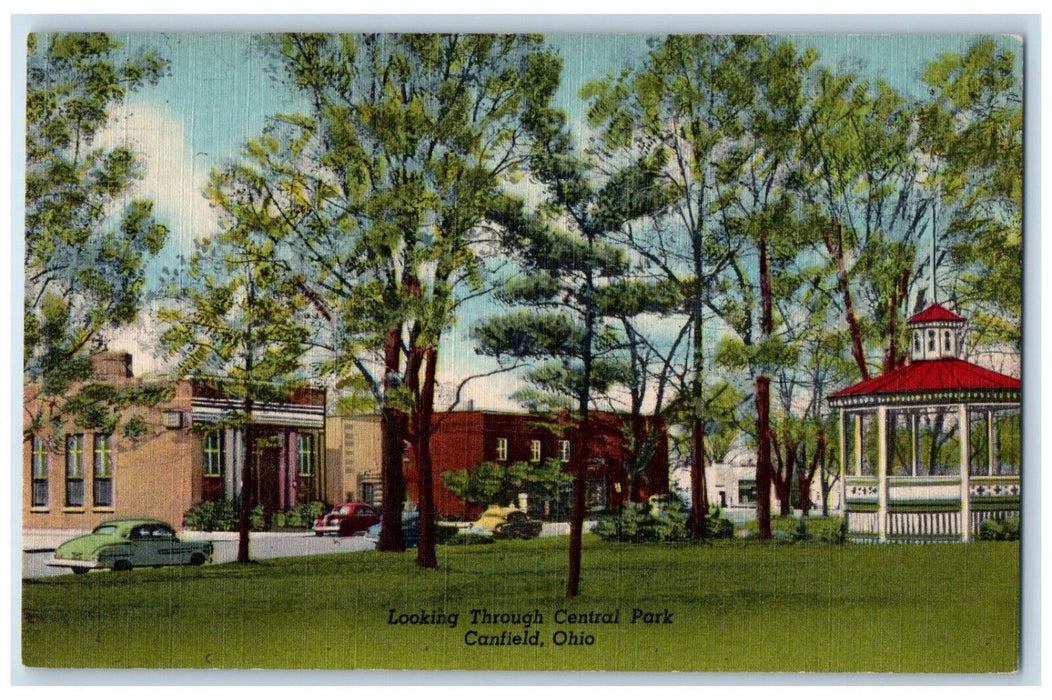 c1950's Looking Through Central Park Canfield Ohio OH Antique Postcard