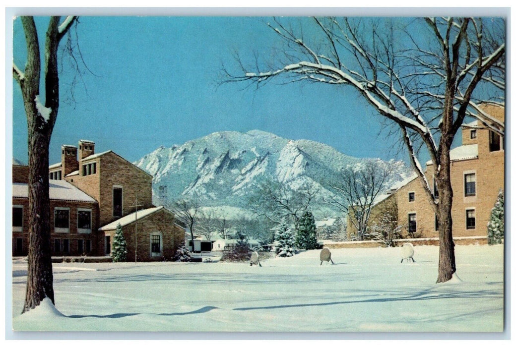 c1950's Wintertime On The University Of Colorado Campus Boulder CO Postcard