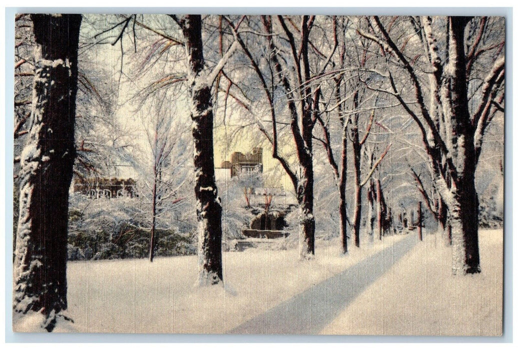 Winter Vista On The University Of Colorado Campus Boulder Colorado CO Postcard