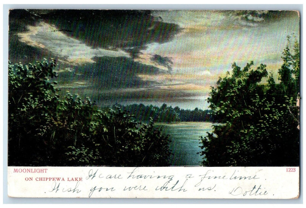 1908 Scenic View Moonlight Chippewa Lake Seville Ohio Vintage Antique Postcard