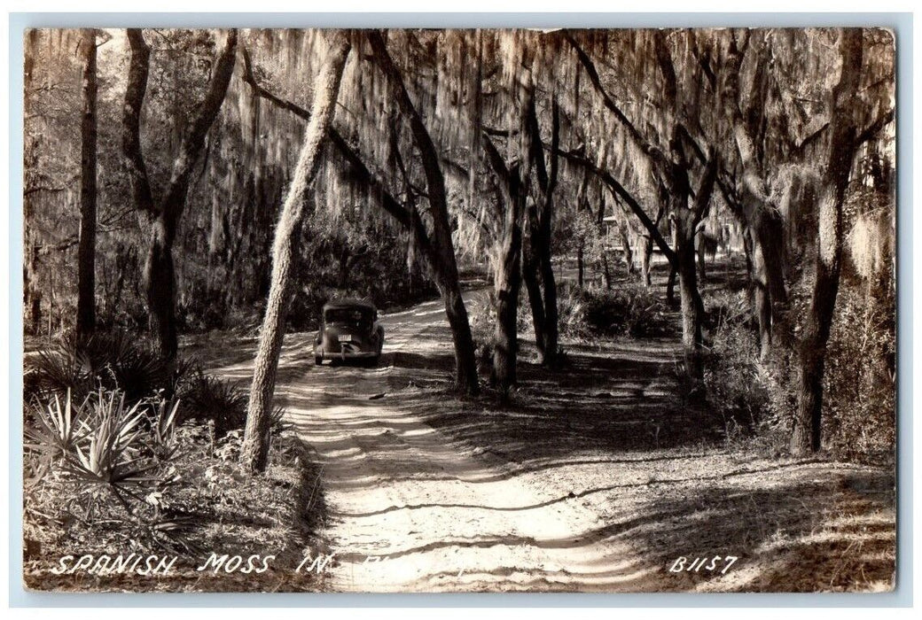 c1930's Spanish Moss Forest Car View Florida FL RPPC Photo Unposted Postcard
