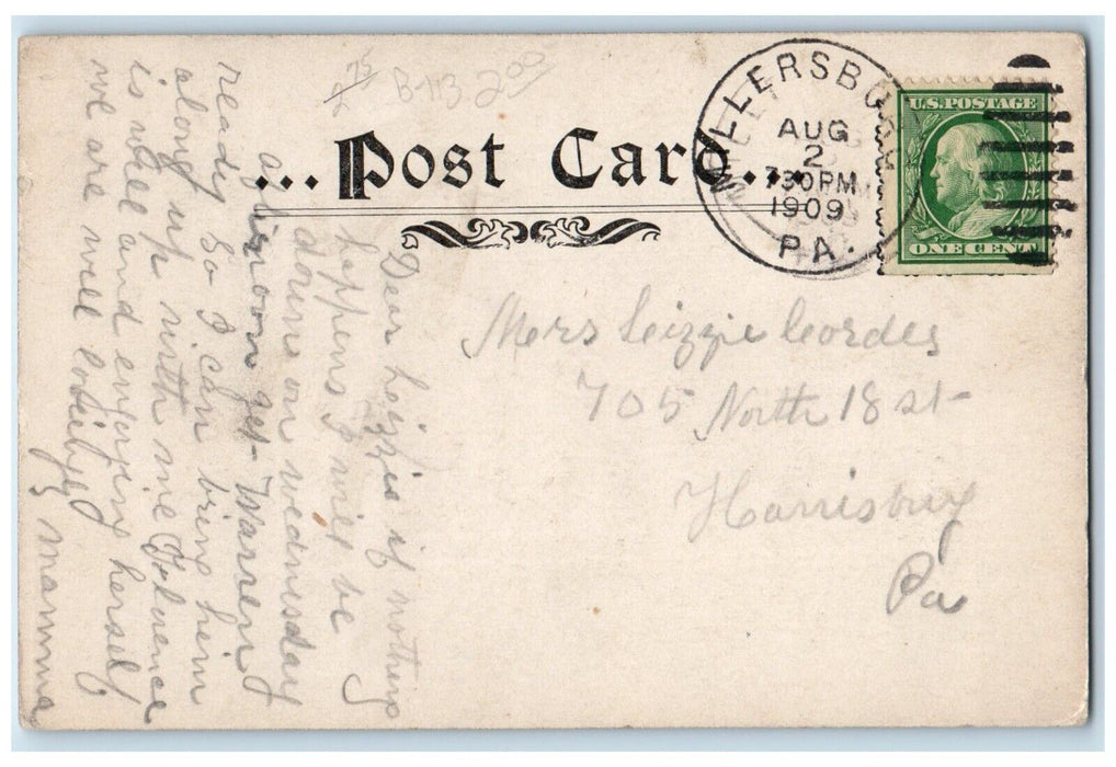 1909 Rustic Bridge Lakemont Park Altoona Middleburg Pennsylvania PA Postcard