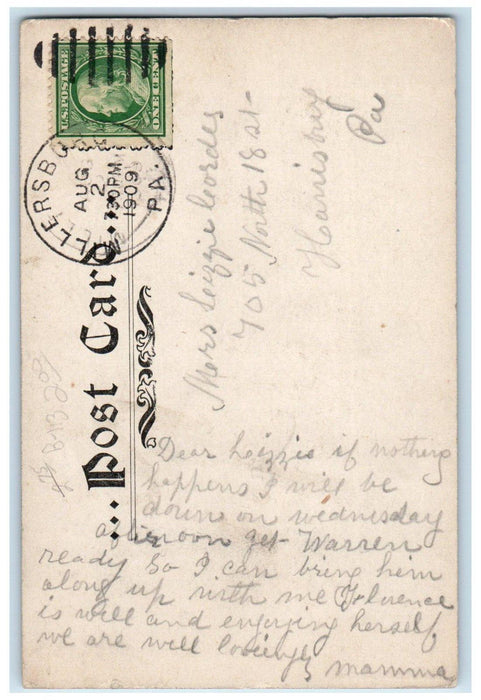 1909 Rustic Bridge Lakemont Park Altoona Middleburg Pennsylvania PA Postcard
