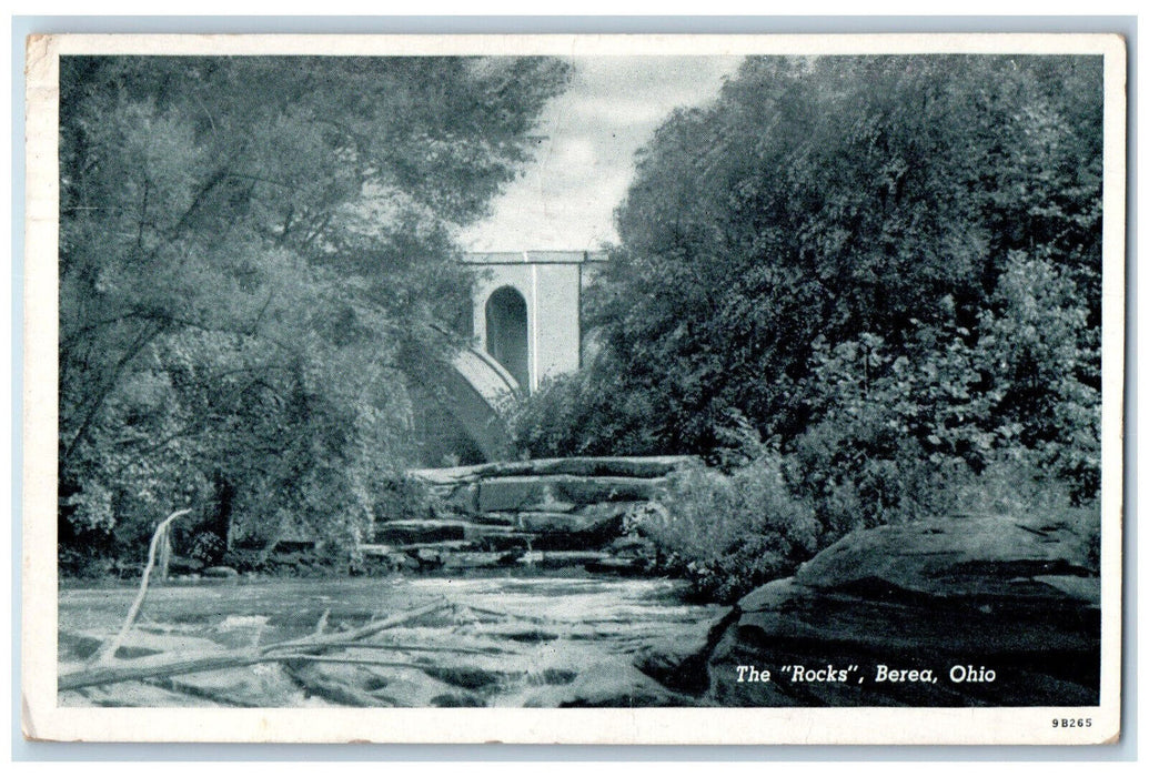 c1950's Trees River Building View The Rocks Berea Ohio OH Vintage Postcard