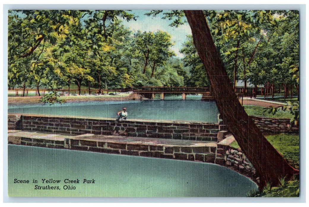 c1950's Scene in Yellow Creek Park Struthers Ohio OH Vintage Postcard