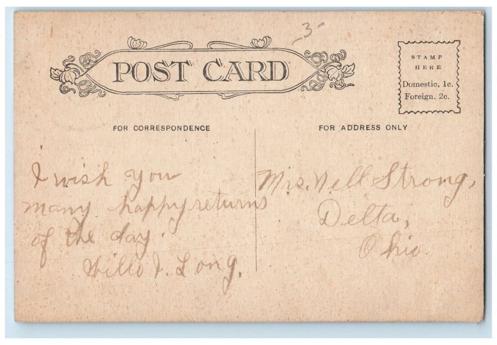 1910 Starved Rock Historic Place River Lake Cliff Trees Ottawa Illinois Postcard