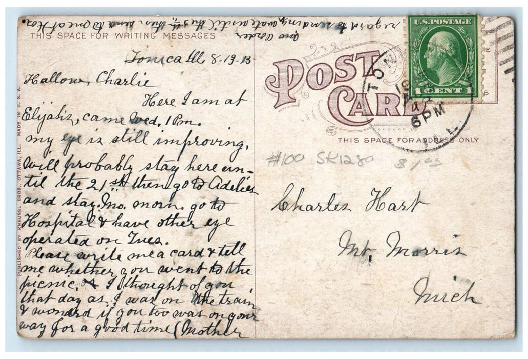 1915 Winter Scene Bailey Falls Deer Park Starved Rock Illinois Vintage Postcard