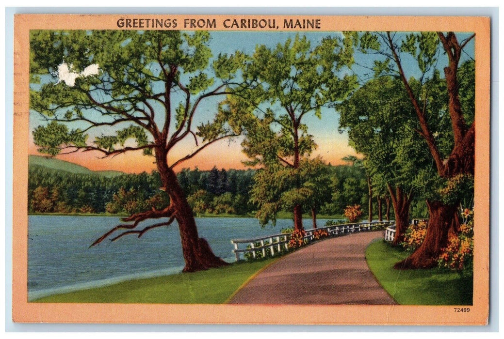 1956 Greetings From Road Fence River Lake Caribou Maine Vintage Antique Postcard